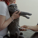 Illustration for article titled This Doc About a Man and His Cats Is as Moving as It Is Absurd